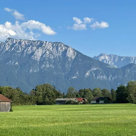 Waller * Oberaudorf
